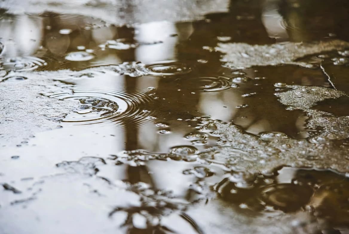 Water Damage — Mitigation, drying, and restoration. Time is the mold clock — we move fast.